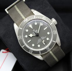 Tudor Black Bay 58 Watch M79010SG-0002